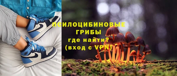 соль курить ск Лагань